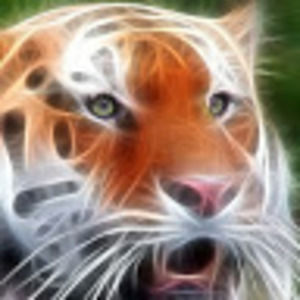 Meet your Posher, Joshua